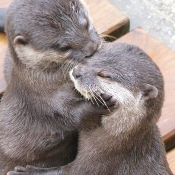 HAPPY VETERAN'S DAY EVERYDAY!! - Picture 15 of 16